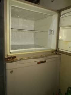 Refrigerator Dowlance full size