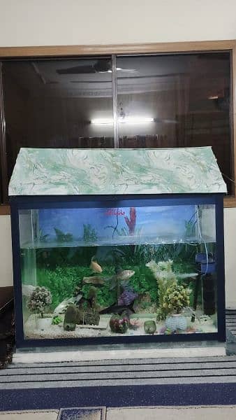 Fish Aquarium 0