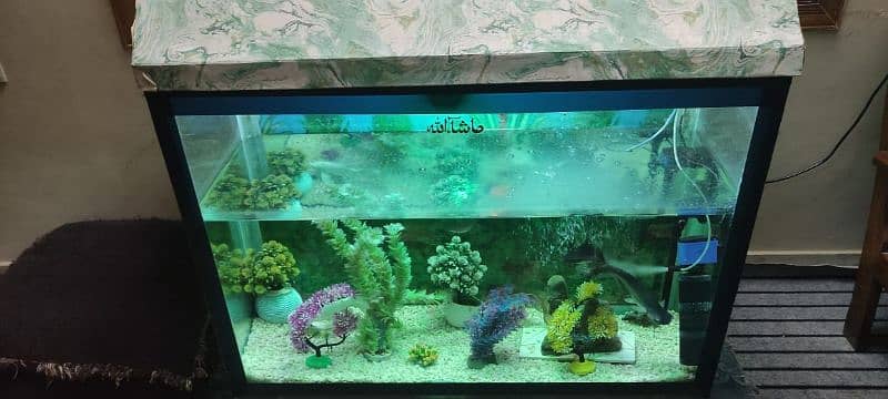 Fish Aquarium 3
