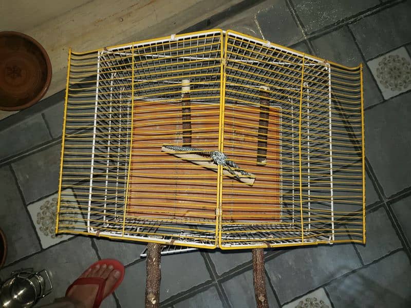 Parrot cages 1