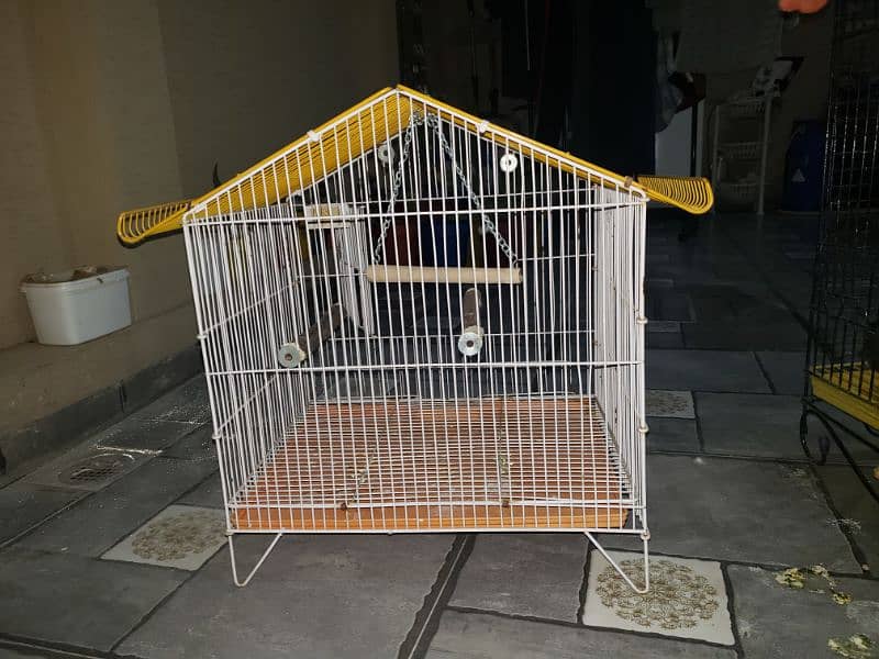 Parrot cages 2