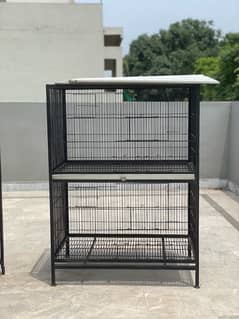 Iron Bird Cage 0