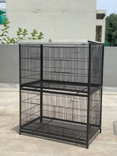 Iron Bird Cage 1