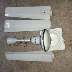 ceiling fan 220 volts Royal fan good condition reasonable price