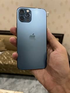 Iphone 12 pro pta approved
