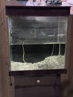 Fish  Aquarium with pump and filter