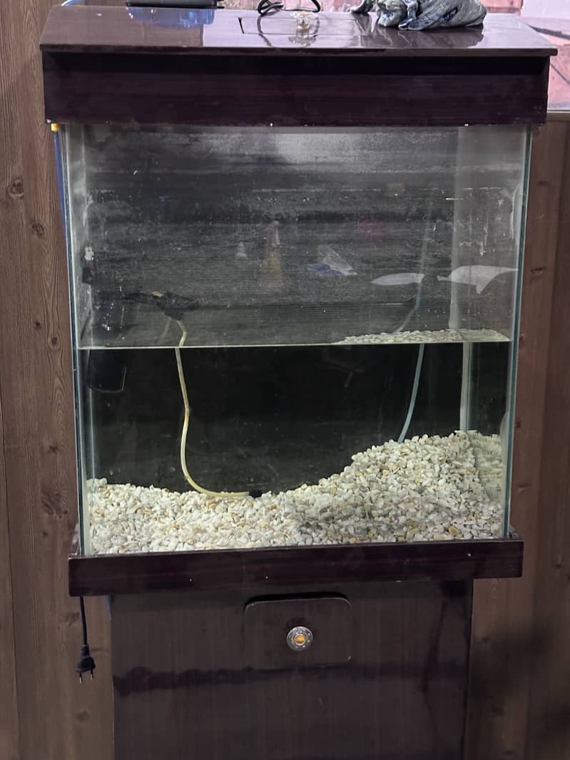 Fish  Aquarium with pump and filter 0