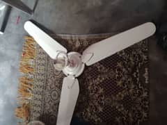 fan for sale 0