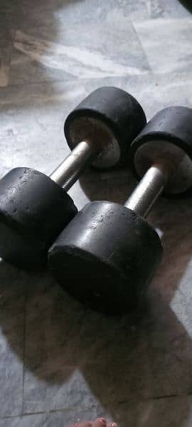 gym dumbbell 0