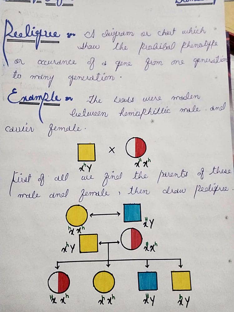 Hand writing assignment work 1