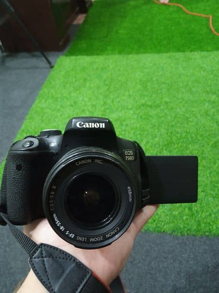 canon 750d 1