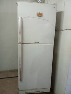 pel refrigerator full size