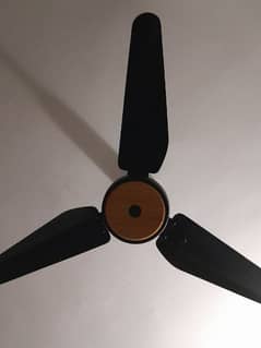 SK Fan