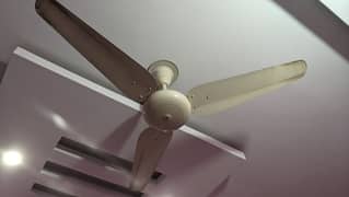 ceiling fan 0