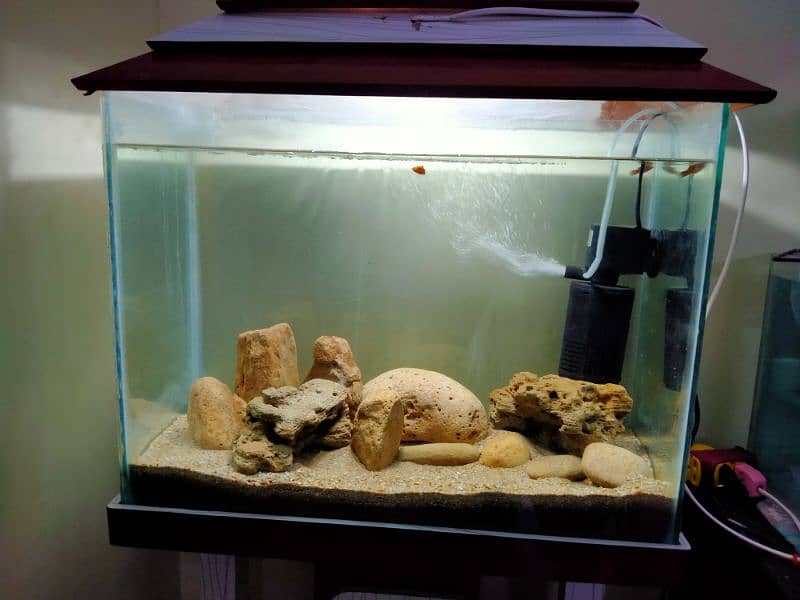 FISH AQUARIUM 1