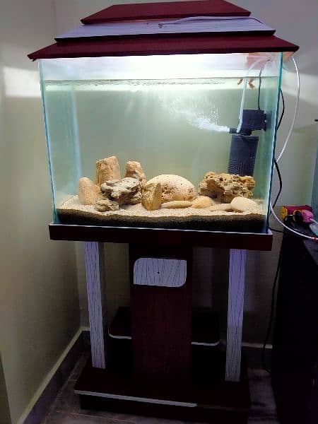 FISH AQUARIUM 2