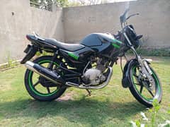 Yamaha YBR 125 2016 for Sale