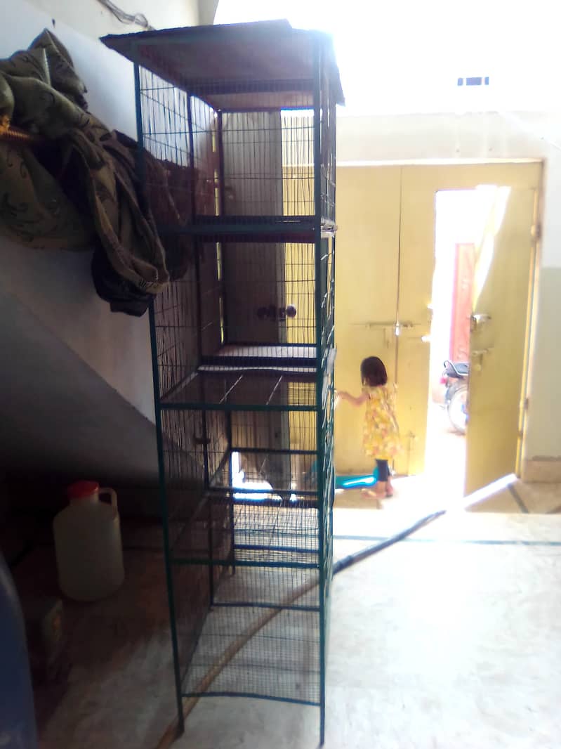 CAGE FOR SALE  03212321737 1