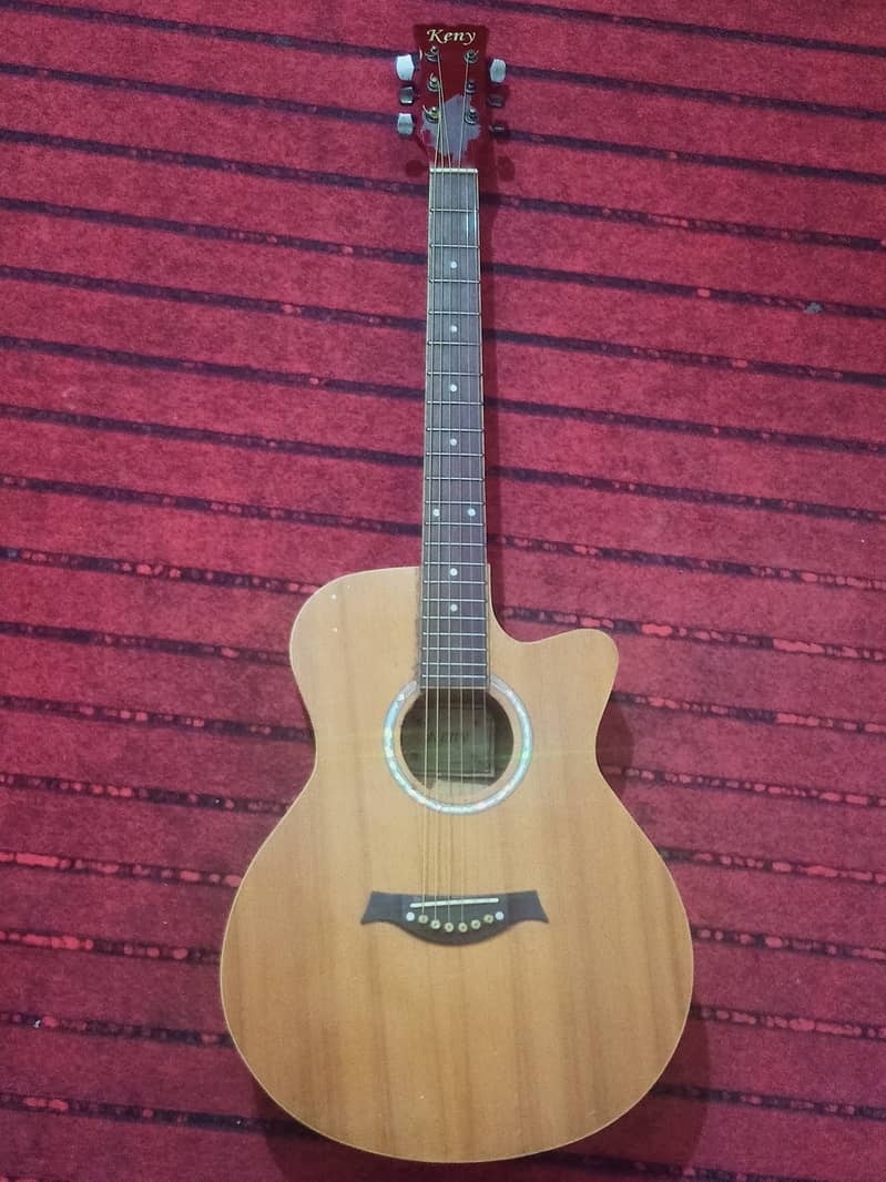 Acoustic Guitar 6