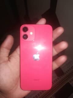 iphone 12 mini non active