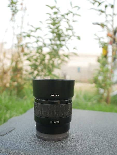 Sony A6400 + 50mm1.8 + 16-50mm kit lens 2