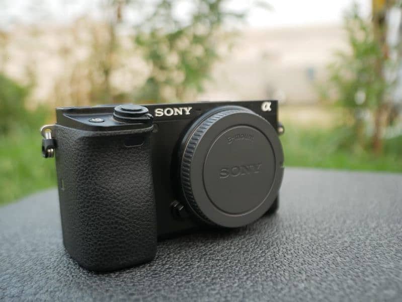 Sony A6400 + 50mm1.8 + 16-50mm kit lens 8