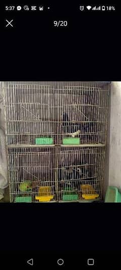 cage For sell urgent
