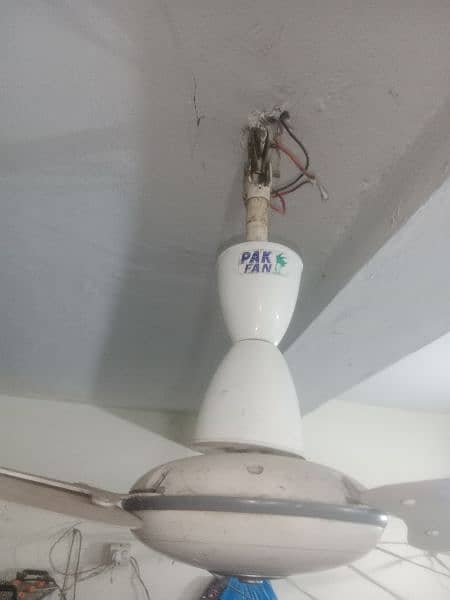 Pak Fan 56"  Ceiling Fan 100 % Ok no open no repair 0