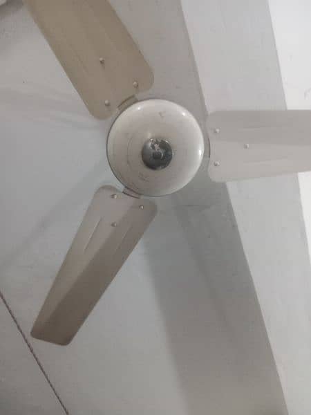 Pak Fan 56"  Ceiling Fan 100 % Ok no open no repair 3