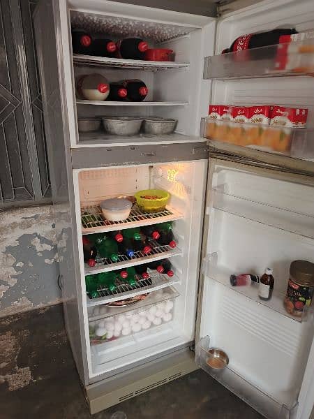 PEL Arctic Large size fridge 0