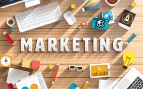 marketing contact