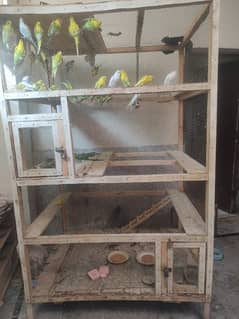 Australian budgie parrot cage pinjra 8 foot * 3 Foot