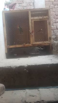 Bhi new cage ha many 1 mha use kia hy