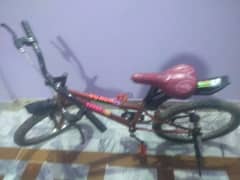 cycle vip haa