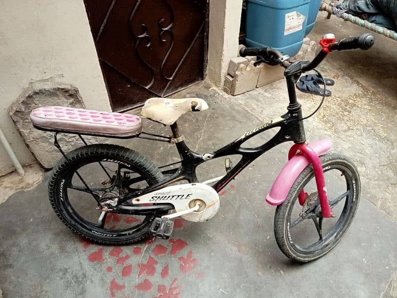 kids cycle full silver body 2