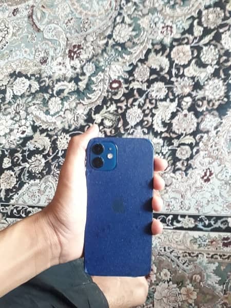 iphone 12 blue color 4