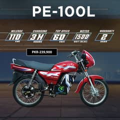Pakzon Electric Bike PE-100L