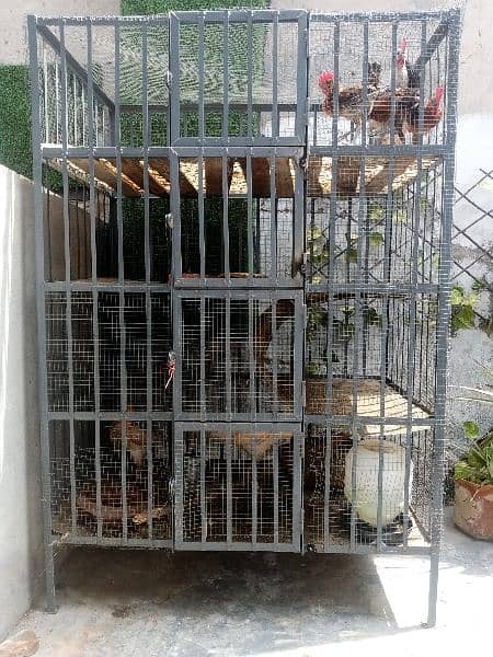 Iron Cage/ Hen Cage 0