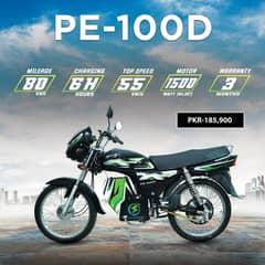 Pakzon Electric Bike PE-100 Dry Del Battery
