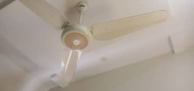 used like new fans 0