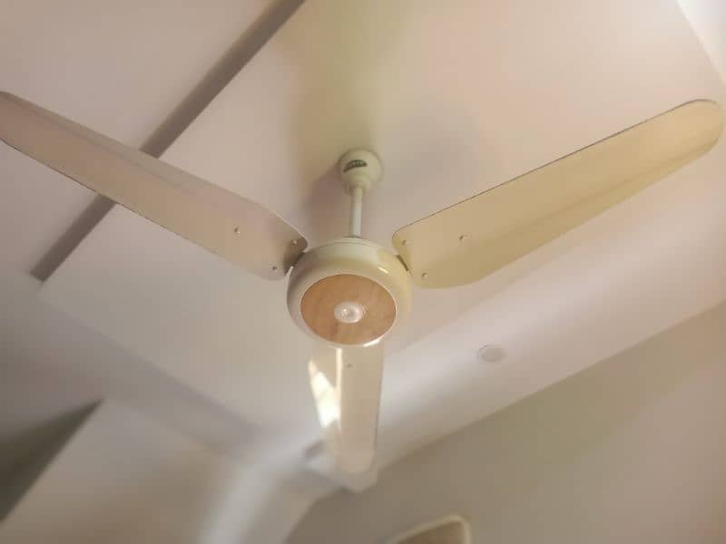 used like new fans 1