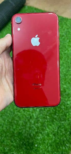 iphone xr 10/10 condition (128) gb non pta  battery  health 79 3