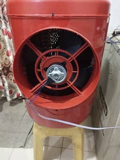 drumi collar 12volt ac dc
