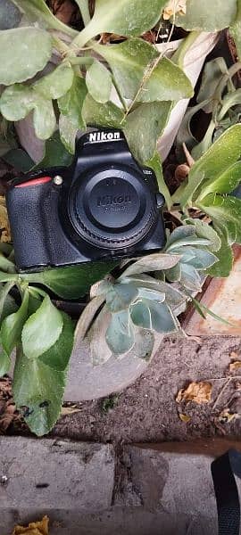 Nikkon D3500 DSLR Camera 4