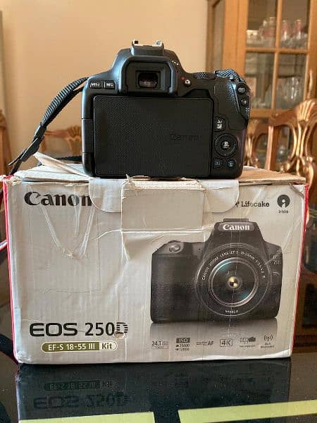 Canon 250D DSLR like Brand New 7