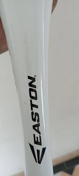 Baseball EASTON professional 10