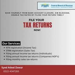 Tax Filing Services 0