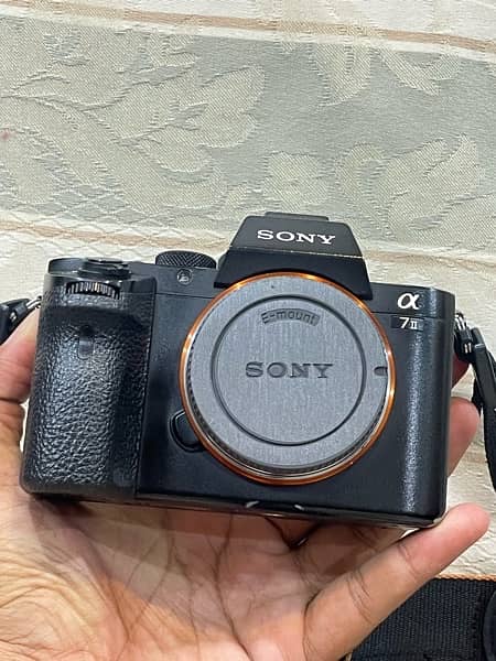 Sony A7ii 2