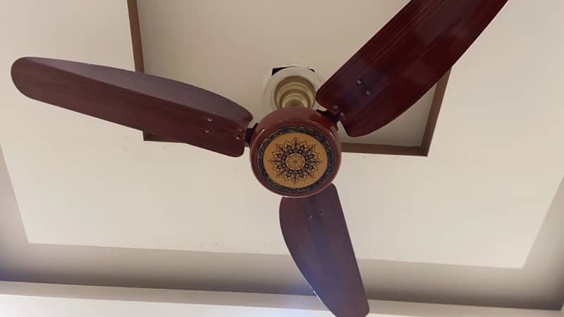 parwaaz company seling fan urgent 2022 new model 1