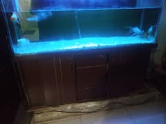 Aquarium for sale in good condition